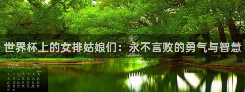 世界杯预选赛2026：世界杯上的女排姑娘们：永不言败的勇气与智慧
