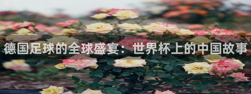 2026年世界杯：德国足球的全球盛宴：世界杯上的中国故事