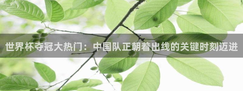 2026足球世界杯赛程：世界杯夺冠大热门：中国队正朝着出线的关键时刻迈进