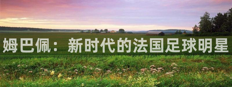 看世界杯：姆巴佩：新时代的法国足球明星