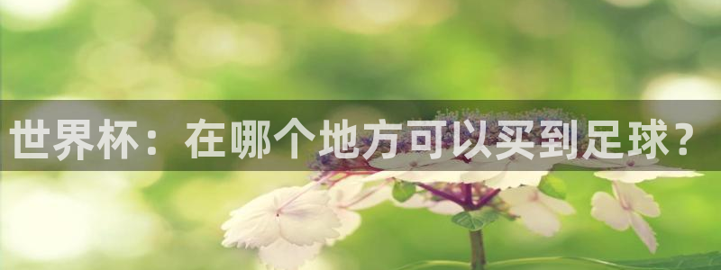 世界杯赛程表2026：世界杯：在哪个地方可以买到足球？