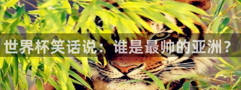 2026世界杯亚洲区预选赛赛程：世界杯笑话说：谁是最帅的亚洲？