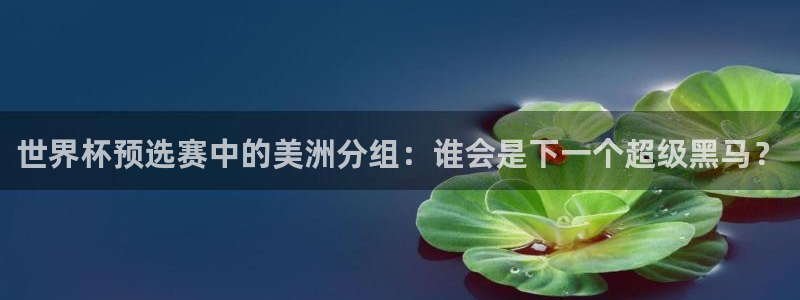 女足世界杯直播：世界杯预选赛中的美洲分组：谁会是下一个超级黑马？