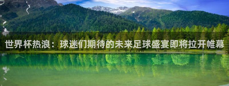 世界杯女足直播：世界杯热浪：球迷们期待的未来足球盛宴即将拉开帷幕