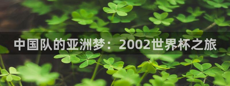 2026世预赛全部赛程：中国队的亚洲梦：2002世界杯之旅