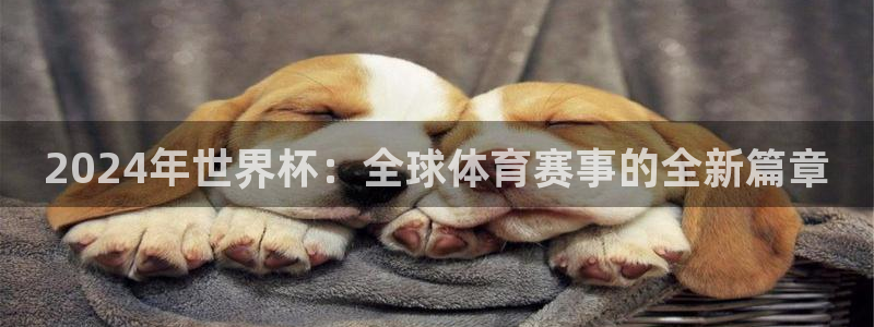 2026世界杯亚洲区预选赛：2024年世界杯：全球体育赛事的全新篇章