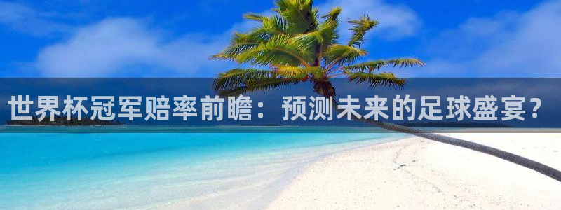 世界杯决赛圈球队：世界杯冠军赔率前瞻：预测未来的足球盛宴？