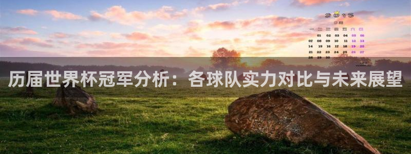 预选赛世界杯：历届世界杯冠军分析：各球队实力对比与未来展望